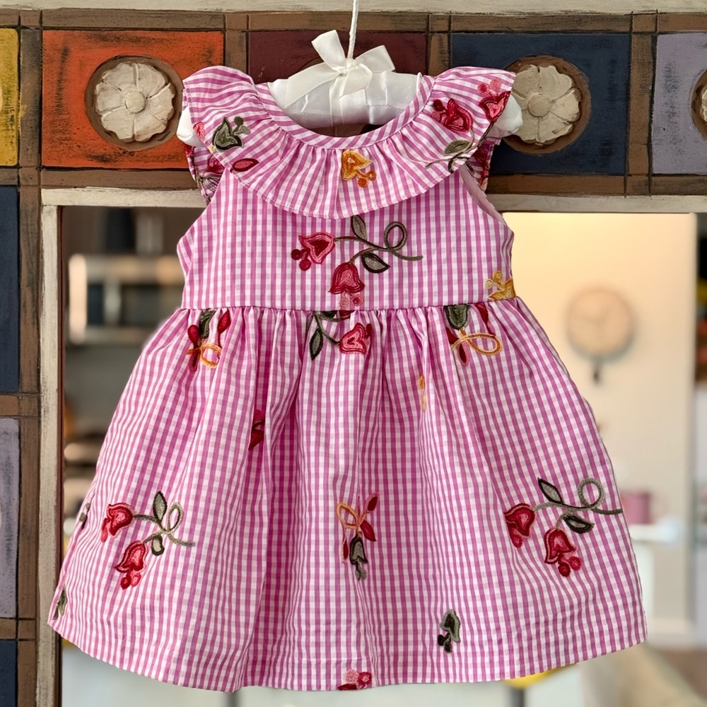 Rare Editions Embroided Gingham Dress - Pink - 18M - Like New